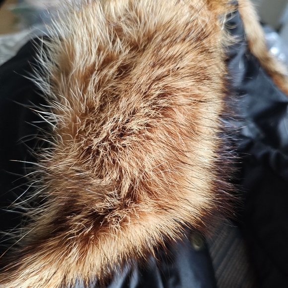 Closing shop! All offers considered! - Picture 9 of 13